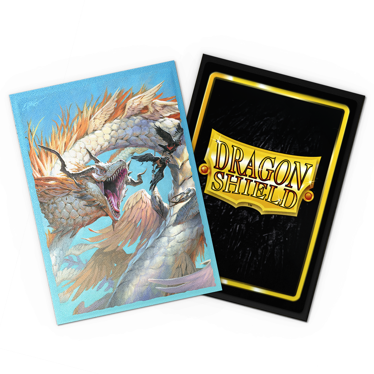 Dragon Shield: Standard 100ct Sleeves - The Ejsingandr (Dual Matte)