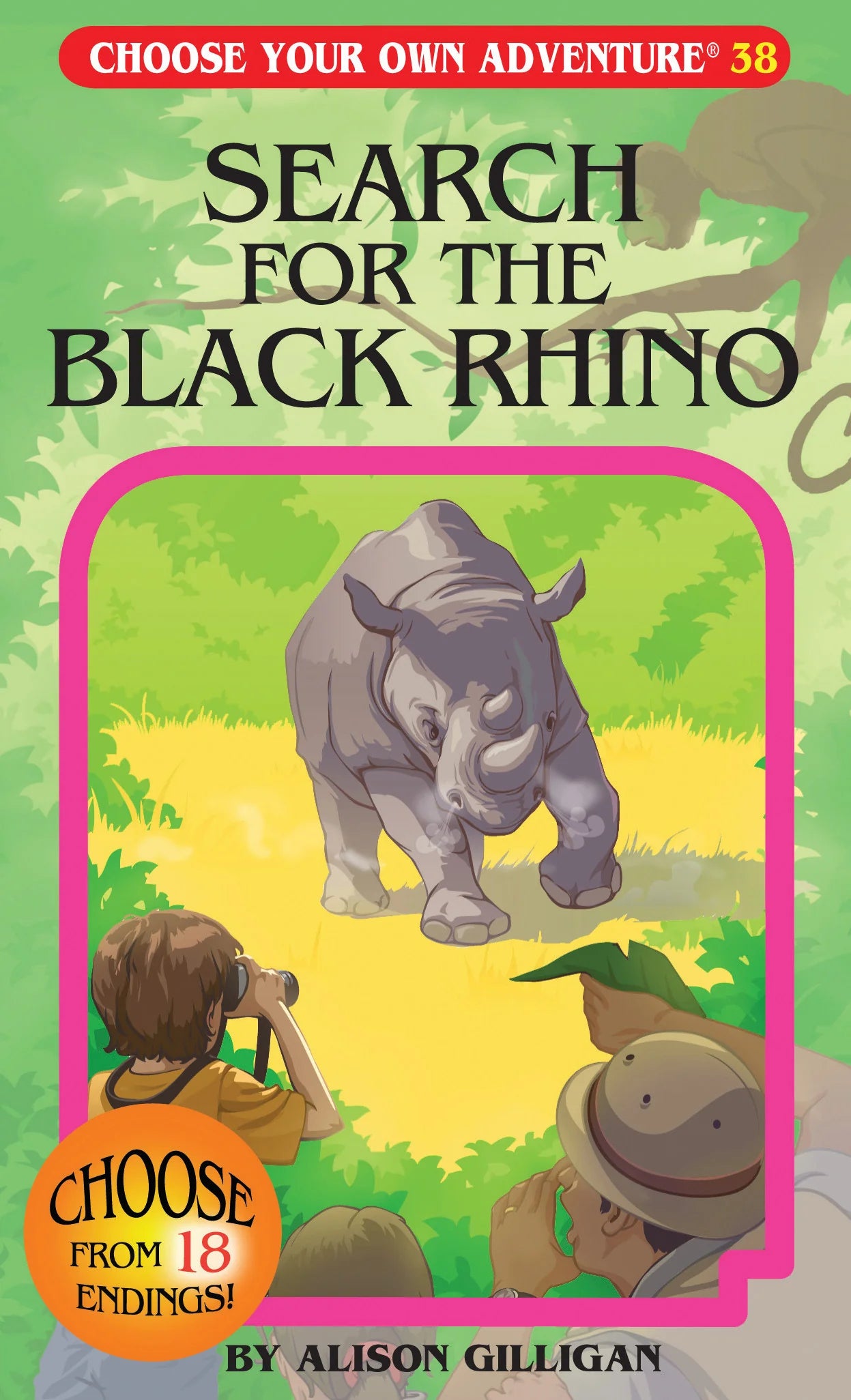 Choose Your Own Adventure Book: Search for the Black Rhino