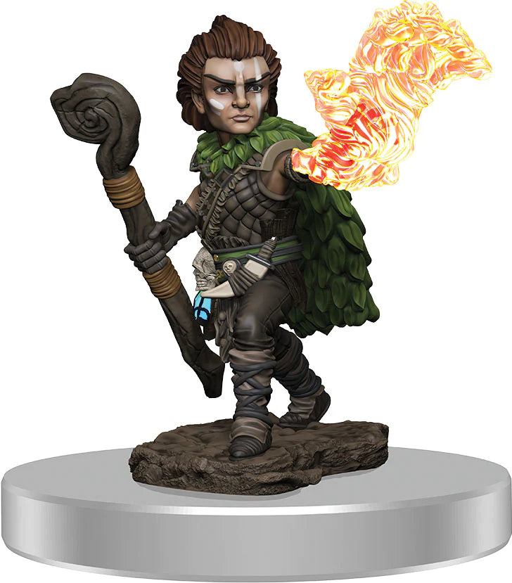 Wizkids Battles Premium Miniatures: Male Gnome Druid