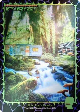 Forest (1656) (Rainbow Foil) [Secret Lair Drop Series]