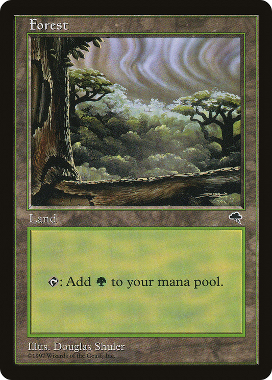 Forest (Sky Visible Top Right) [Tempest]