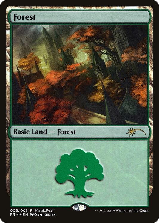 Forest (2019) [MagicFest 2019]