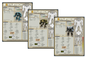 BattleTech: Premium Record Sheets - Clan Invasion