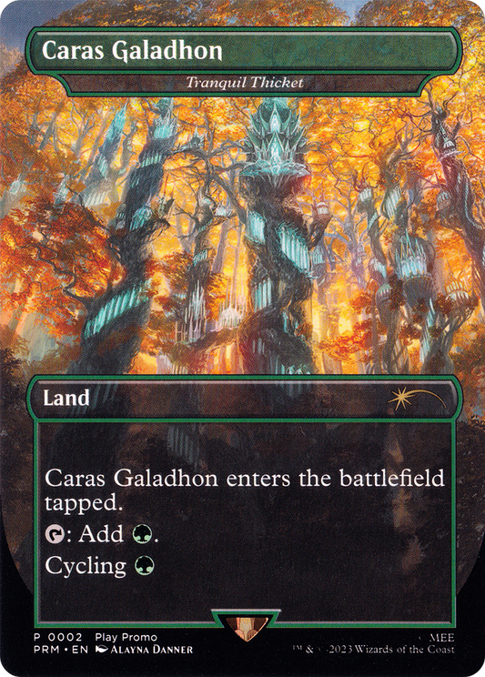 Tranquil Thicket - Caras Galadhon (Borderless) [Wizards Play Network 2023]