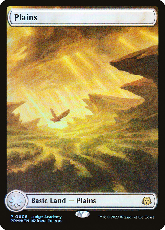 Plains [Judge Gift Cards 2023]