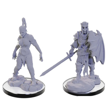 Wizkids Nolzur's Marvelous Miniatures: Plague Zombie & Skeletal Champion