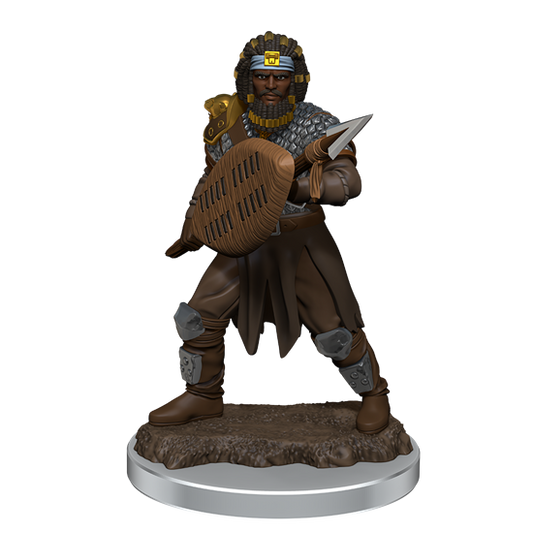 Wizkids Icons of the Realms Premium Miniatures: Human Fighter
