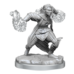 Wizkids Nolzur's Marvelous Miniatures: Half-Elf Warlock