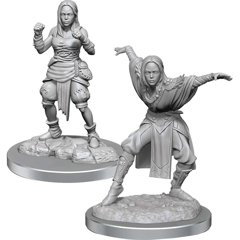 Pathfinder Battles: Half-Elf Monk Female