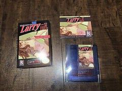 Larry and the Long Look for Luscious Lover - NES