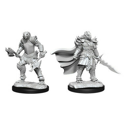 Wizkids Nolzur's Marvelous Miniatures: Dragonborn Fighter Female