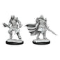 Wizkids Nolzur's Marvelous Miniatures: Dragonborn Fighter Female