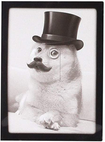 Ultra Pro Deck Sleeves - Doge Such Class! Much Fancy! (50)