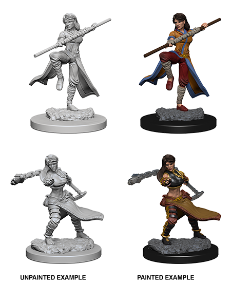 Wizkids Nolzur's Marvelous Miniatures: Human Monk