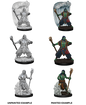 Wizkids Nolzur's Marvelous Miniatures: Water Genasi Druid