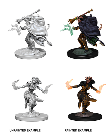 Wizkids Nolzur's Marvelous Miniatures: Tiefling Warlock