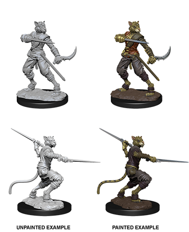 Wizkids Nolzur's Marvelous Miniatures: Tabaxi Rogue