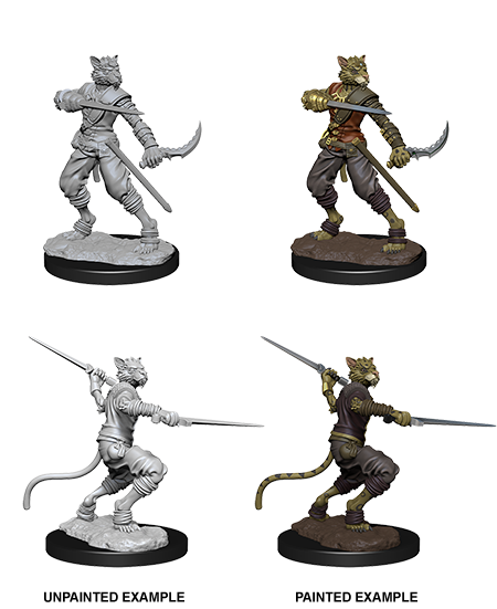 Dungeons & Dragons: Nolzur's Marvelous Unpainted Miniatures - W07 Tabaxi Male Rogue