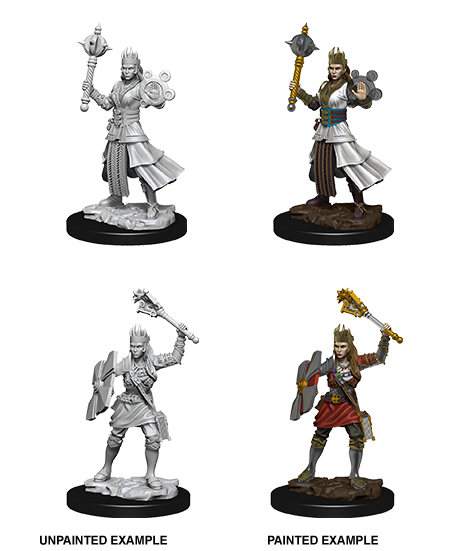 Wizkids Nolzur's Marvelous Miniatures: Human Cleric