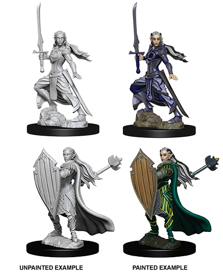 Wizkids Nolzur's Marvelous Miniatures: Elf Paladin