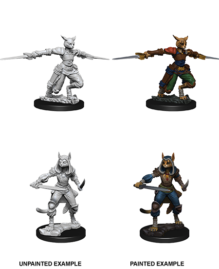 Dungeons & Dragons: Nolzur's Marvelous Unpainted Miniatures - W09 Female Tabaxi Rogue