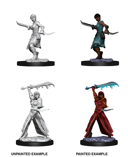 Wizkids Nolzur's Marvelous Miniatures: Human Rogue