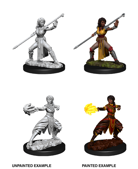 Dungeons & Dragons: Nolzur's Marvelous Unpainted Miniatures - W10 Female Half-Elf Monk