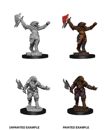 Wizkids Nolzur's Marvelous Miniatures: Dragonborn Fighter