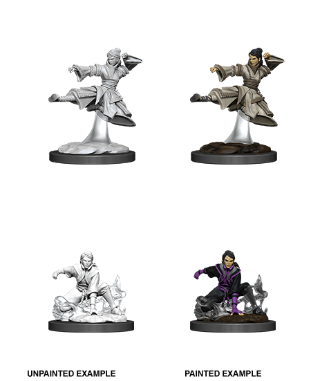 Wizkids Nolzur's Marvelous Miniatures: Human Monk