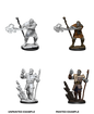 Wizkids Nolzur's Marvelous Miniatures: Firbolg Druid