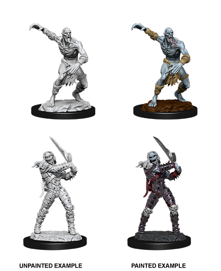 Wizkids Nolzur's Marvelous Miniatures: Wight & Ghast