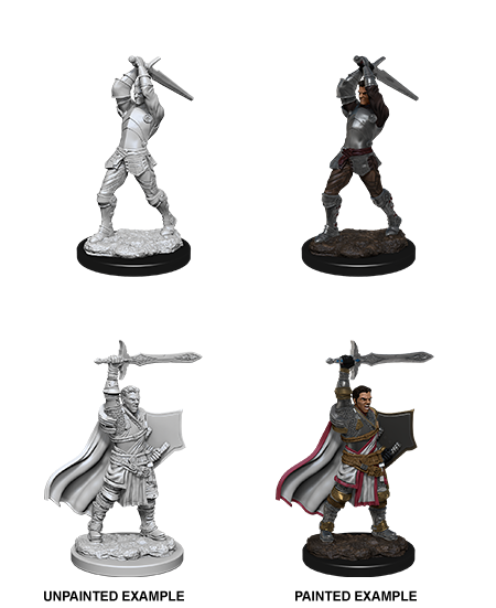 Wizkids Nolzur's Marvelous Miniatures: Human Paladin