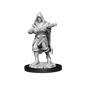 Wizkids Battles Miniatures: Male Human Rogue