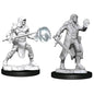 Wizkids Nolzur's Marvelous Miniatures: Multiclass Fighter + Wizard