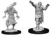 Dungeons & Dragons: Nolzur's Marvelous Unpainted Miniatures - W14 Scarecrow & Stone Cursed