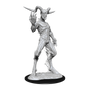 Wizkids Nolzur's Marvelous Miniatures: Nightwalker