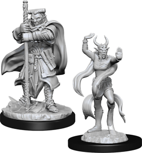 Wizkids Nolzur's Marvelous Miniatures: Hobgoblin Devastator & Iron Shadow
