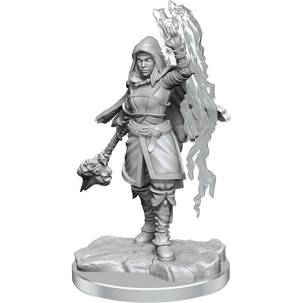 Wizkids Nolzur's Marvelous Miniatures: Half-Elf Warlock