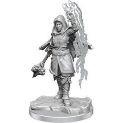 Wizkids Nolzur's Marvelous Miniatures: Half-Elf Warlock
