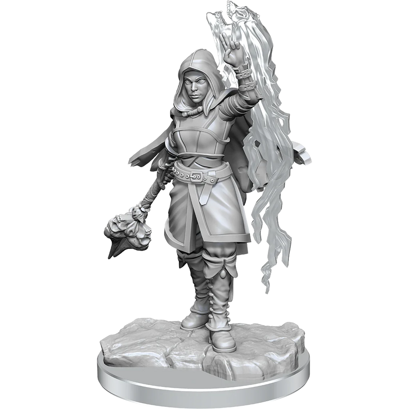 Wizkids Nolzur's Marvelous Miniatures: Half-Elf Warlock