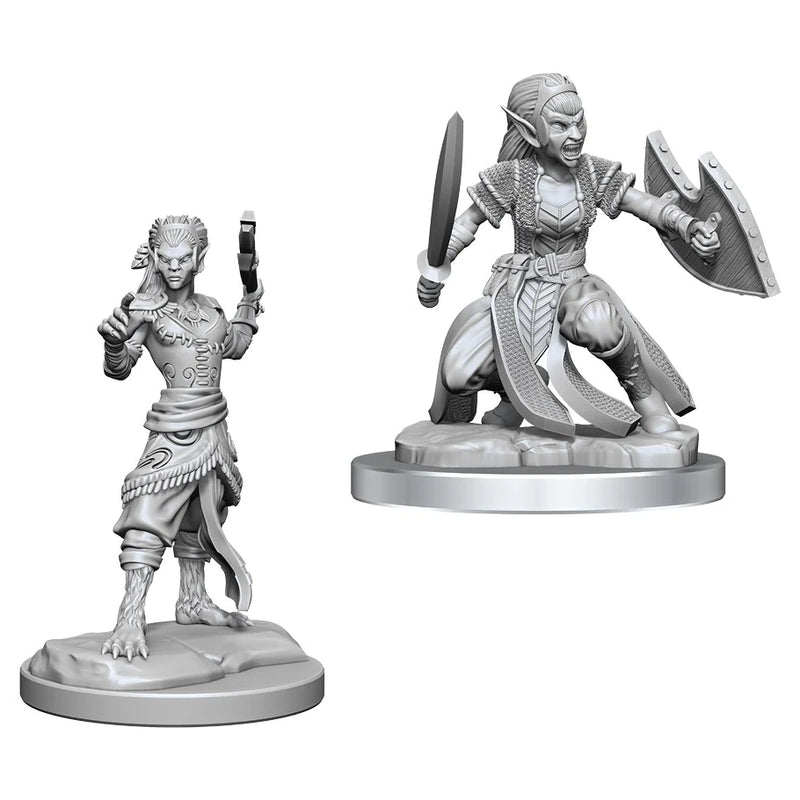 Wizkids Nolzur's Marvelous Miniatures: Shifter Fighter